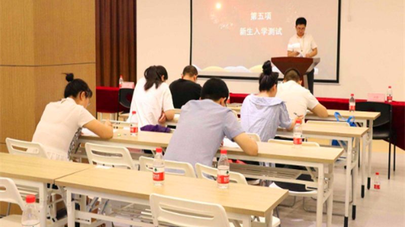 如何辨别电工证真伪？查询途径全解析